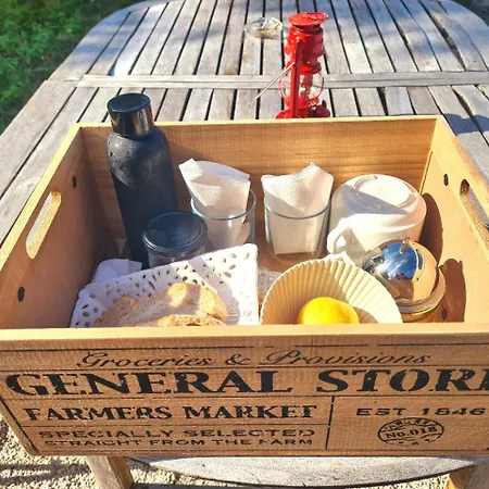 Jade Проживание в семье *